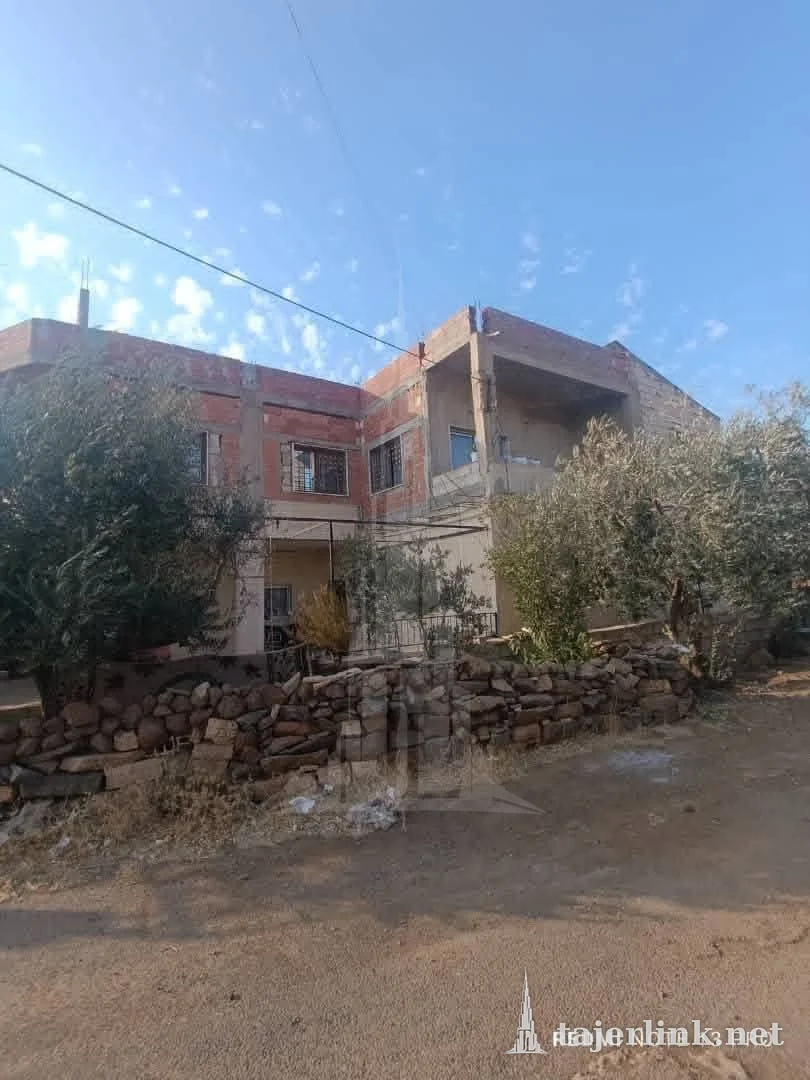 Arab-style house for sale in مقابل مفرق مصاد باتجاه الشمال, Suwayda – Photo 2
